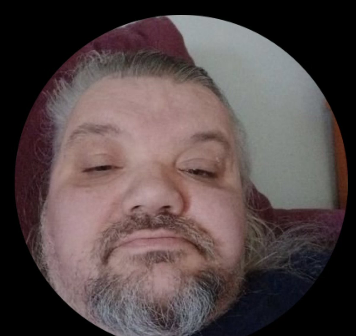 WADEolf Hitler tweet media