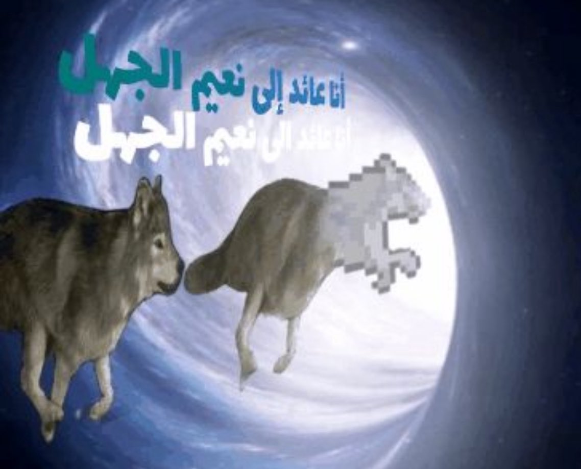 ⋆˚࿔ alhanouf ᡣ𐭩˚⋆ tweet media