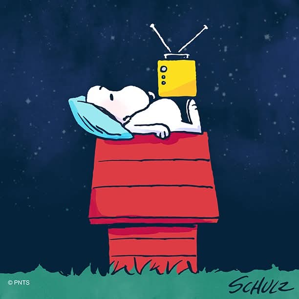 snoopy tweet media