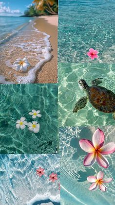 Giulia Rosa tweet media