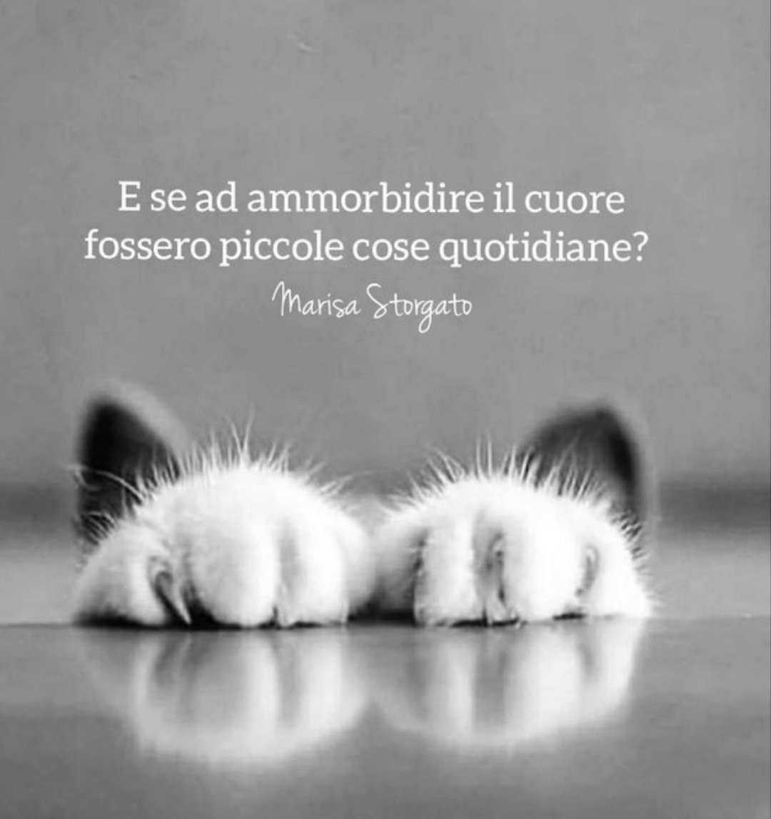 Rosy 🌺🐦 tweet media