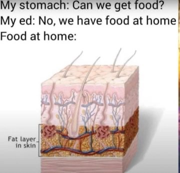 edtwt memes tweet media