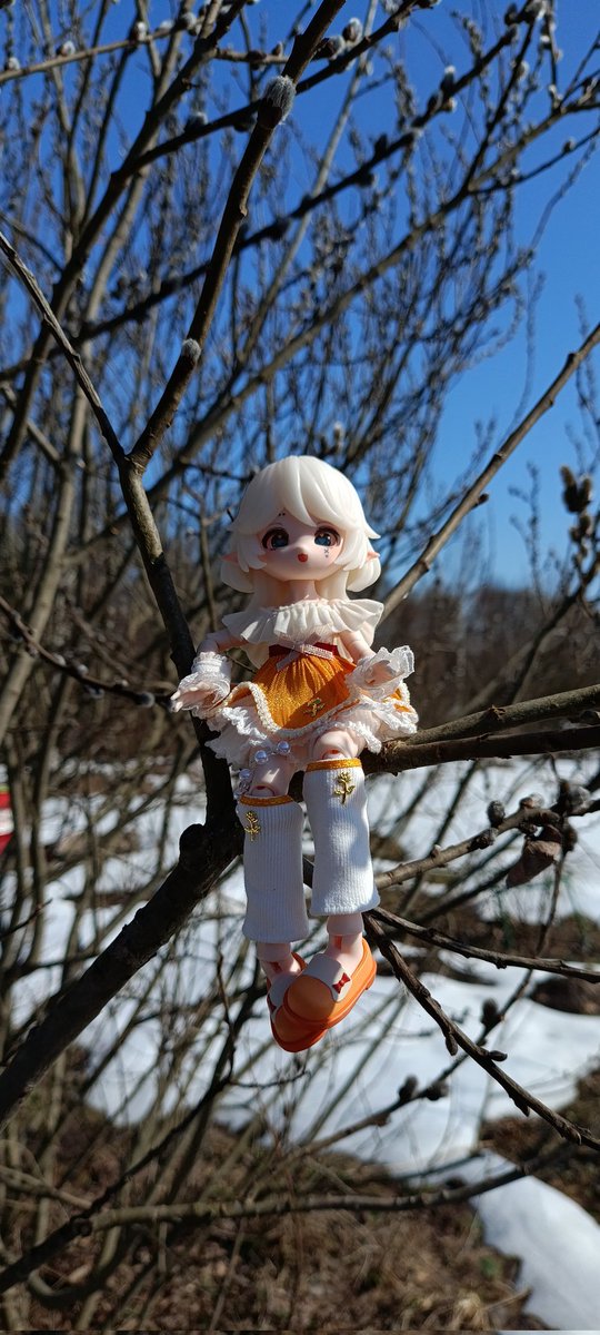 На даче весна, обрезка и любование новой куколкой