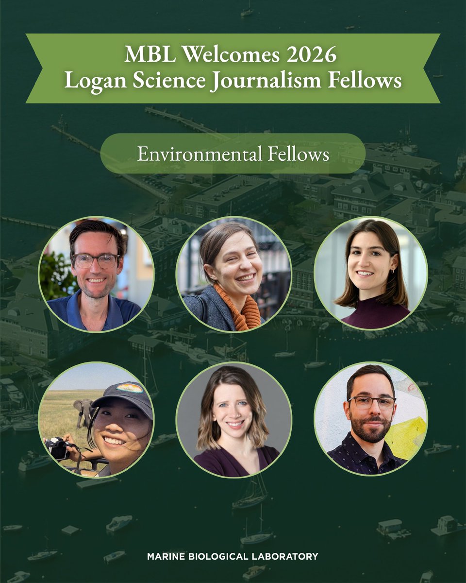 Marine Biological Laboratory (MBL) tweet media