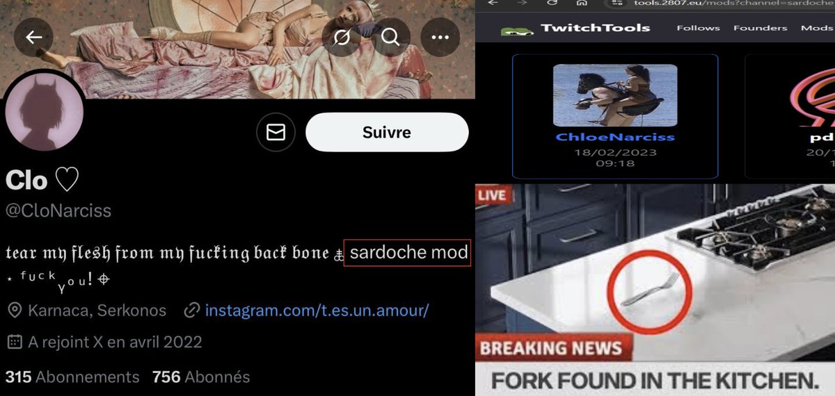 Serpentard Reformed 🐍 tweet media