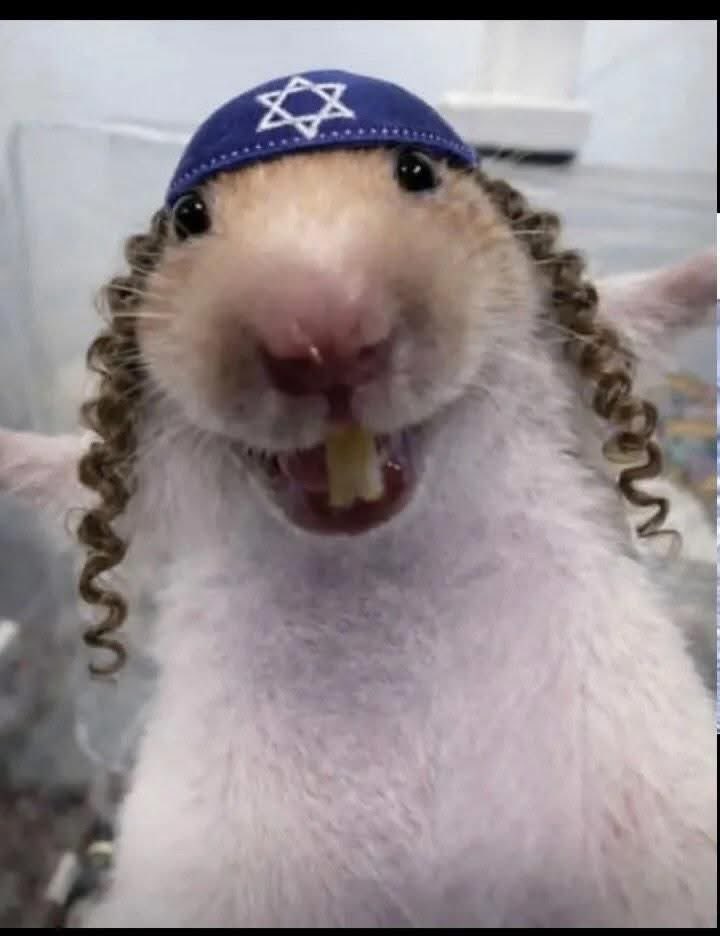 romaissa tweet media