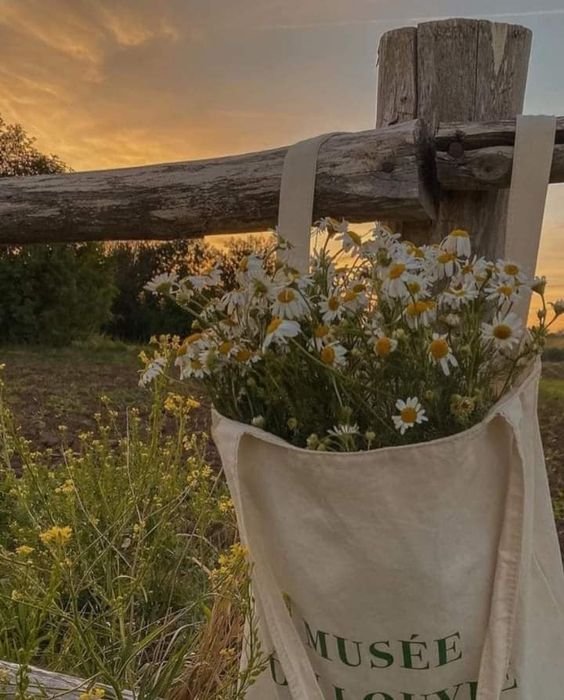 𝑙𝑦𝑟𝑎 tweet media