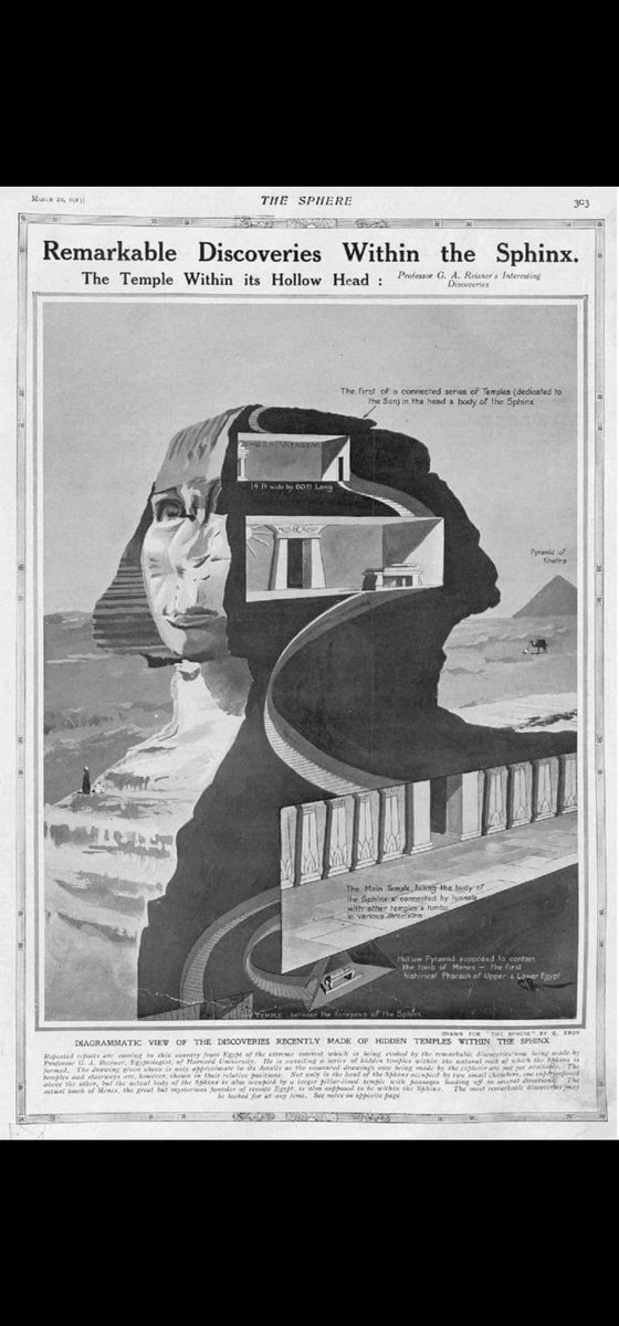 Albert Morrison tweet media