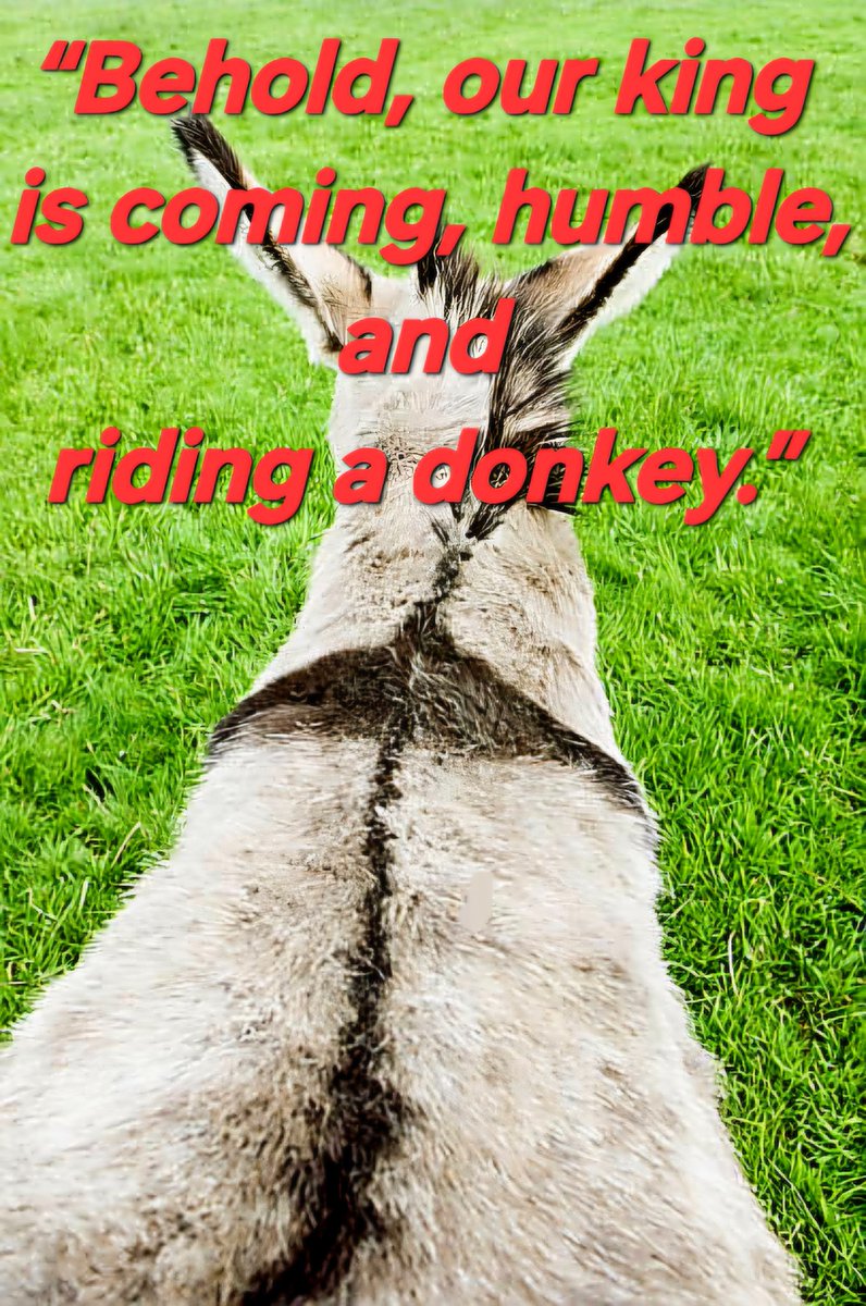 ncc_chaplain's tweet photo. Thank you 7Joseph @NCCBrent for joining the form Mass in the Chapel. Thanks to Fr Brendan CSSp for presiding and leading our celebration. Now we move into #HolyWeek. #Jesus enters riding on a donkey. #Hosanna @CaritasWestm @RCWestminster @CAFOD https://t.co/6KzjW6q3kT
