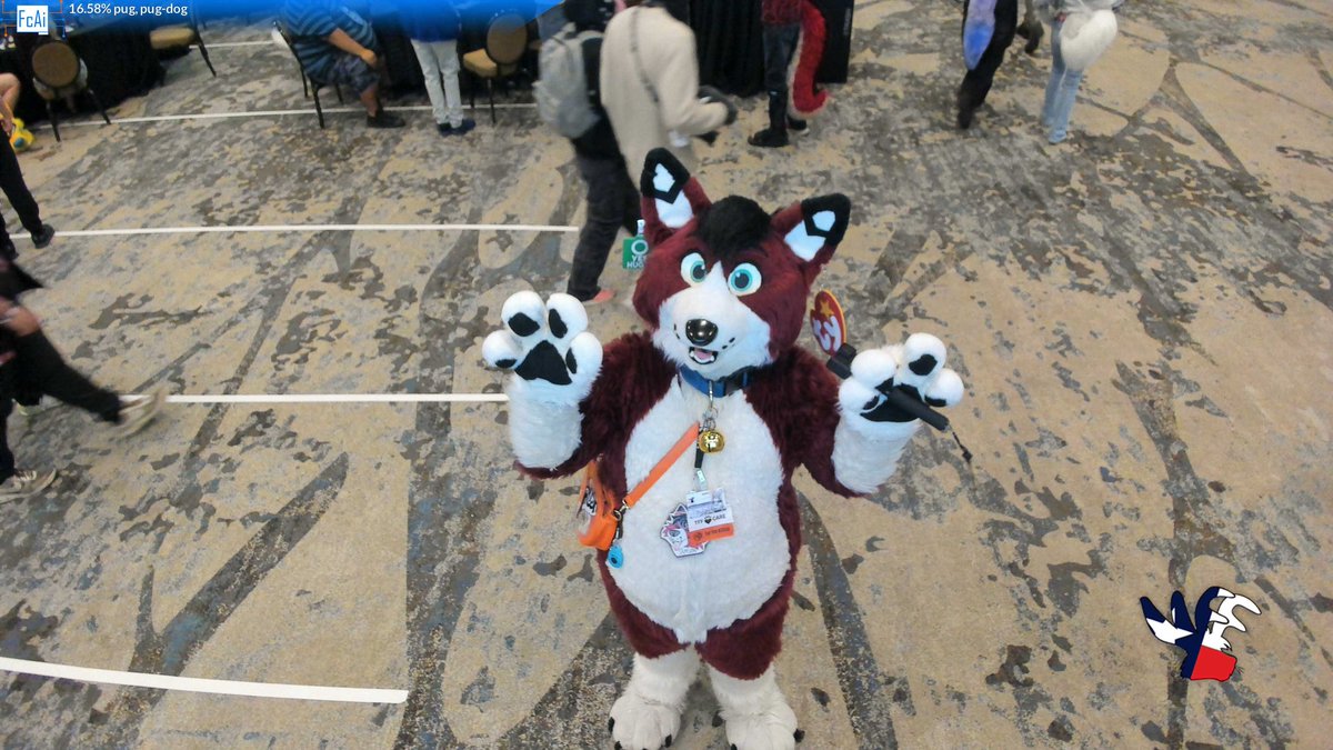 Spring Kibbins 🌺 🔜 FWA 2026 tweet media