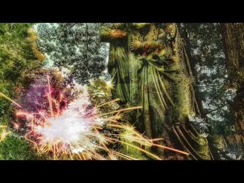 Lewis LaCook tweet media