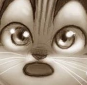 _abril_cafe_ tweet media