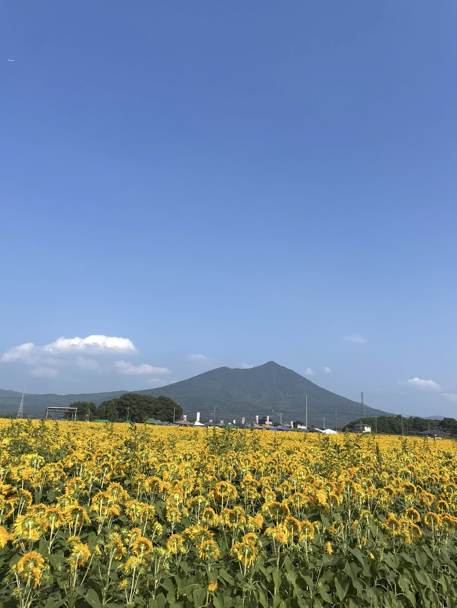 shino→昼夜勤務中←ver.2。 tweet media