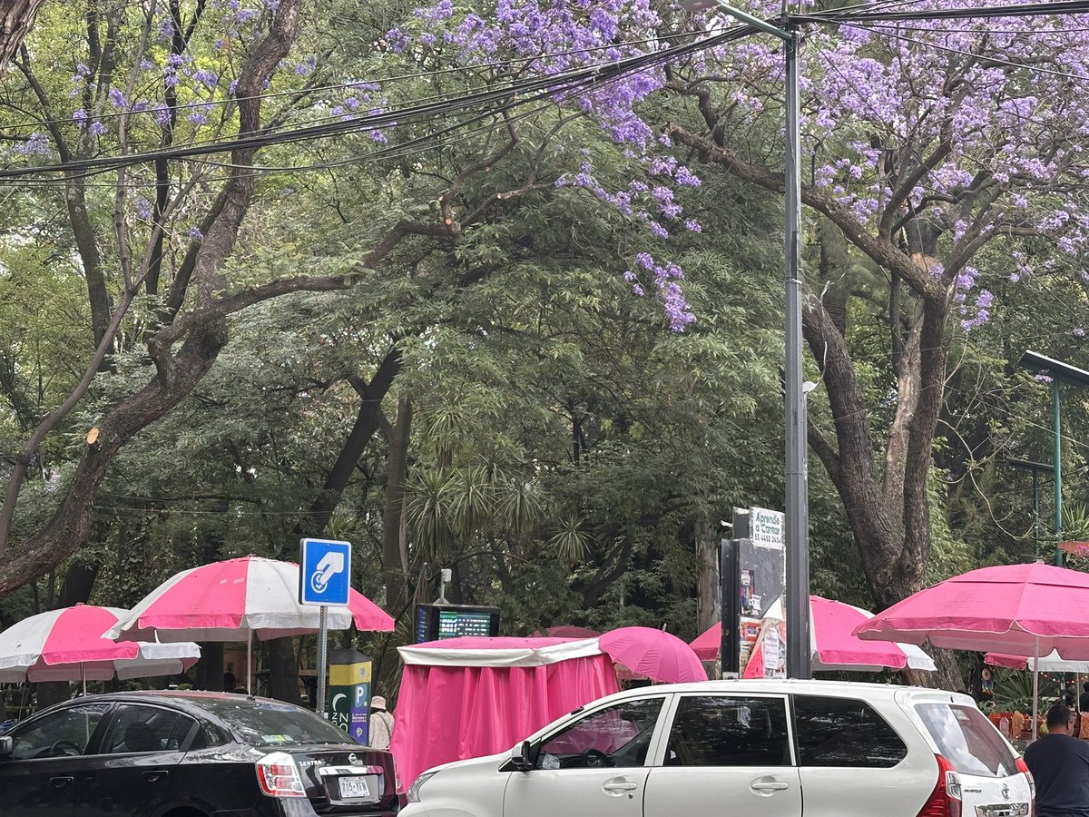 Karla Iberia Sánchez tweet media