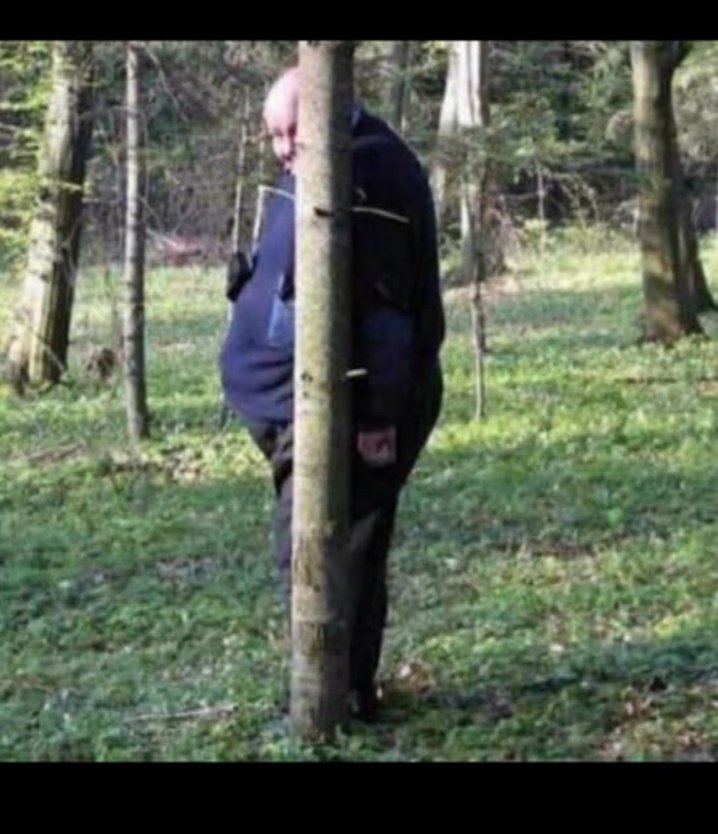 نعناعة tweet media