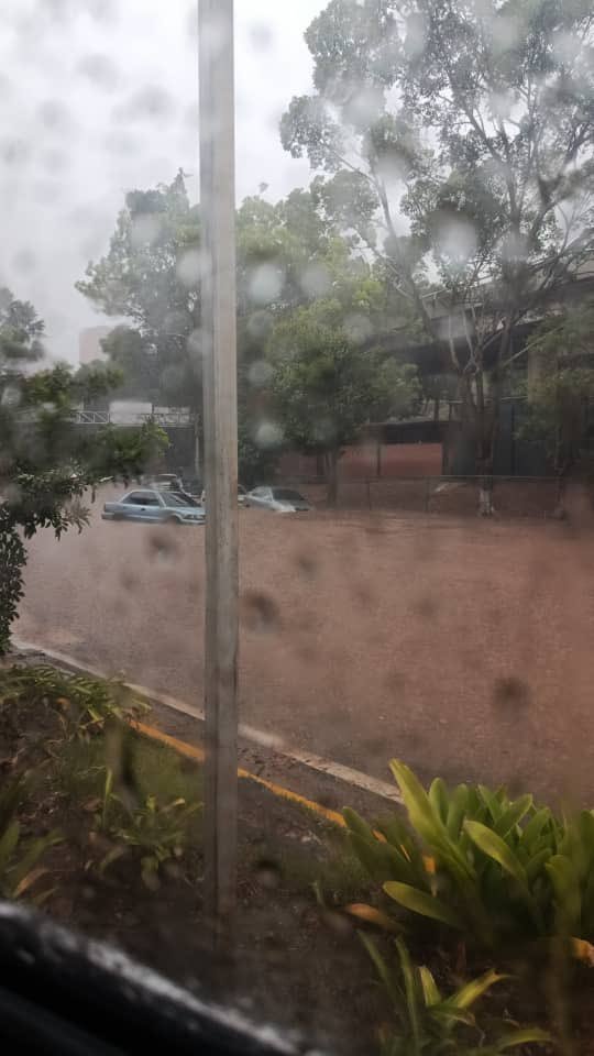 Reporte Ya tweet media