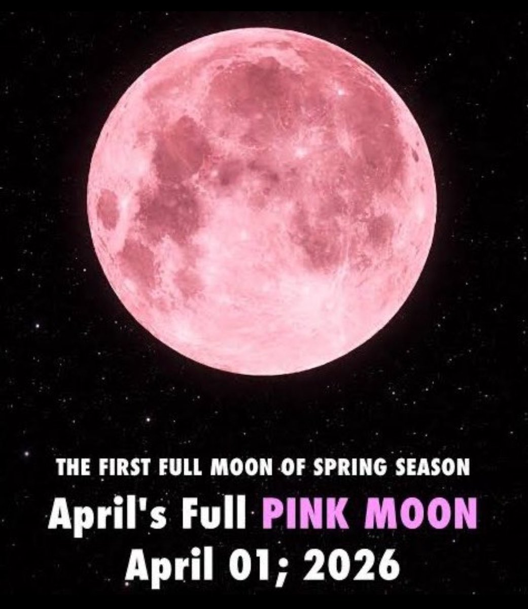 𝓻𝓮✩ 𝐄𝐍𝐇𝐘𝐏𝐄𝐍 𝐈𝐒 𝟕 tweet media