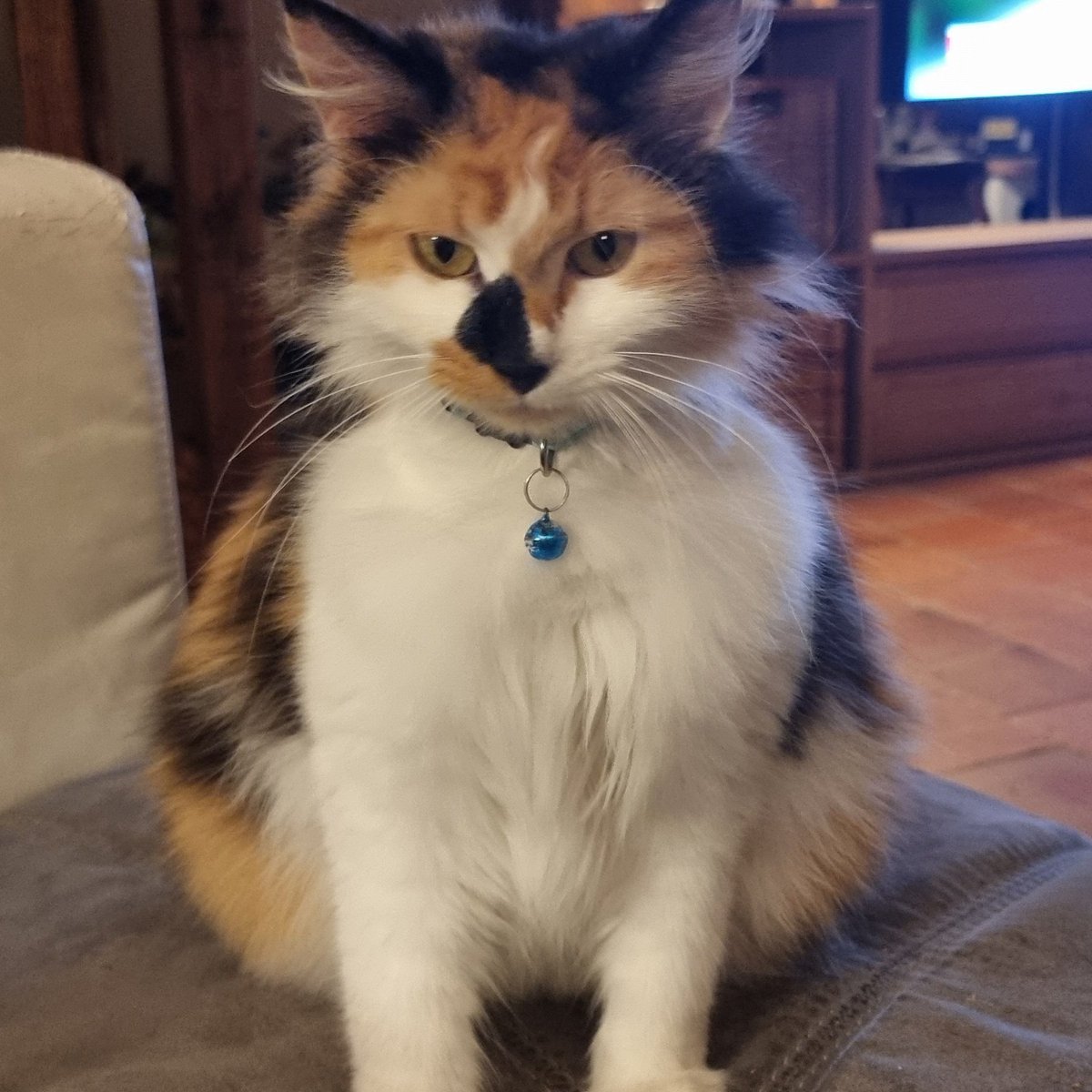 Fan de Marlène tweet media