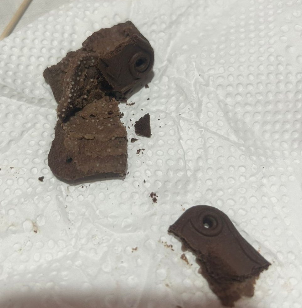 Light811 tweet media