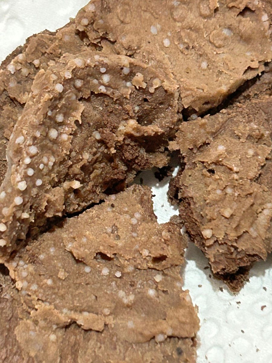 Light811 tweet media