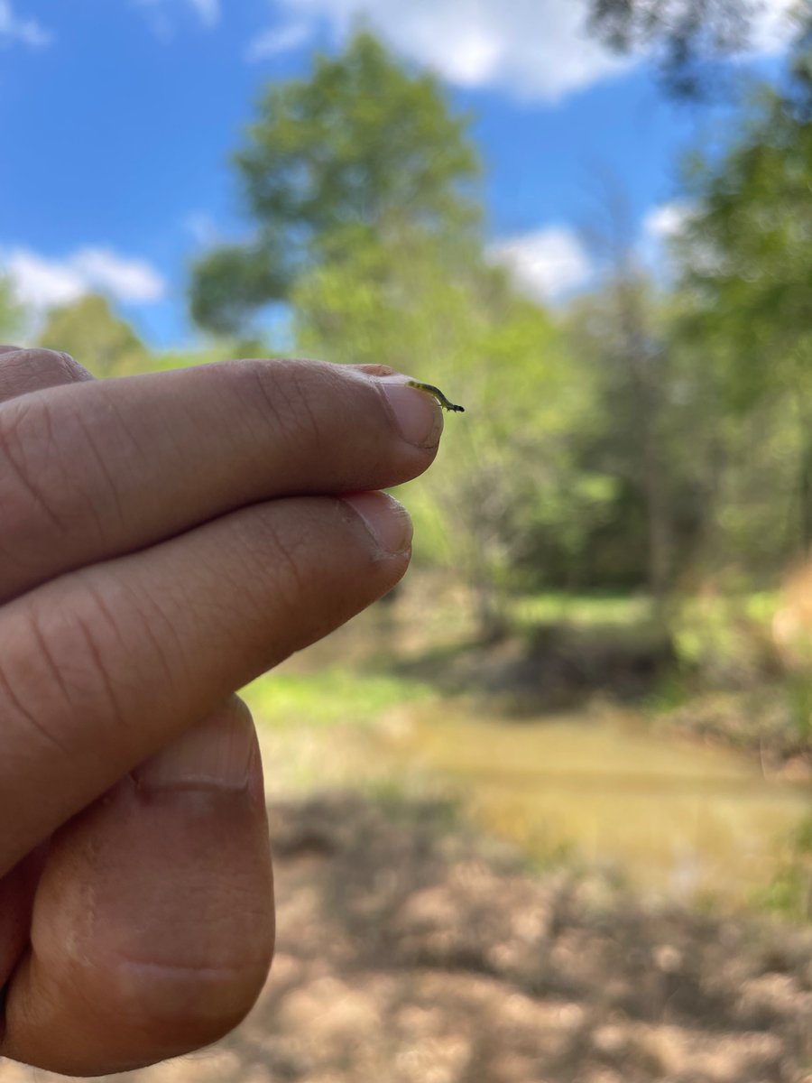 Elias Rodriguez tweet media