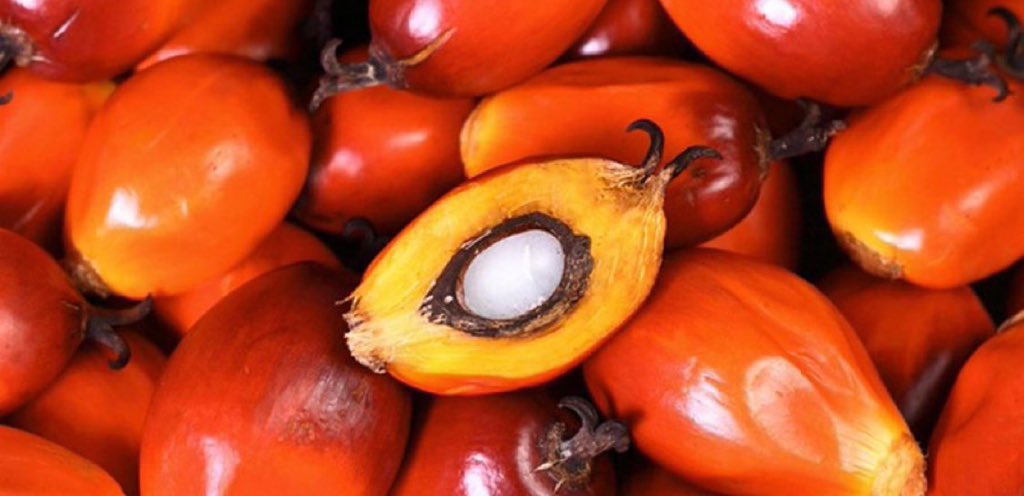 simply_coman tweet media