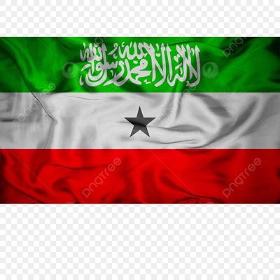 Abdifatah gallol tweet media