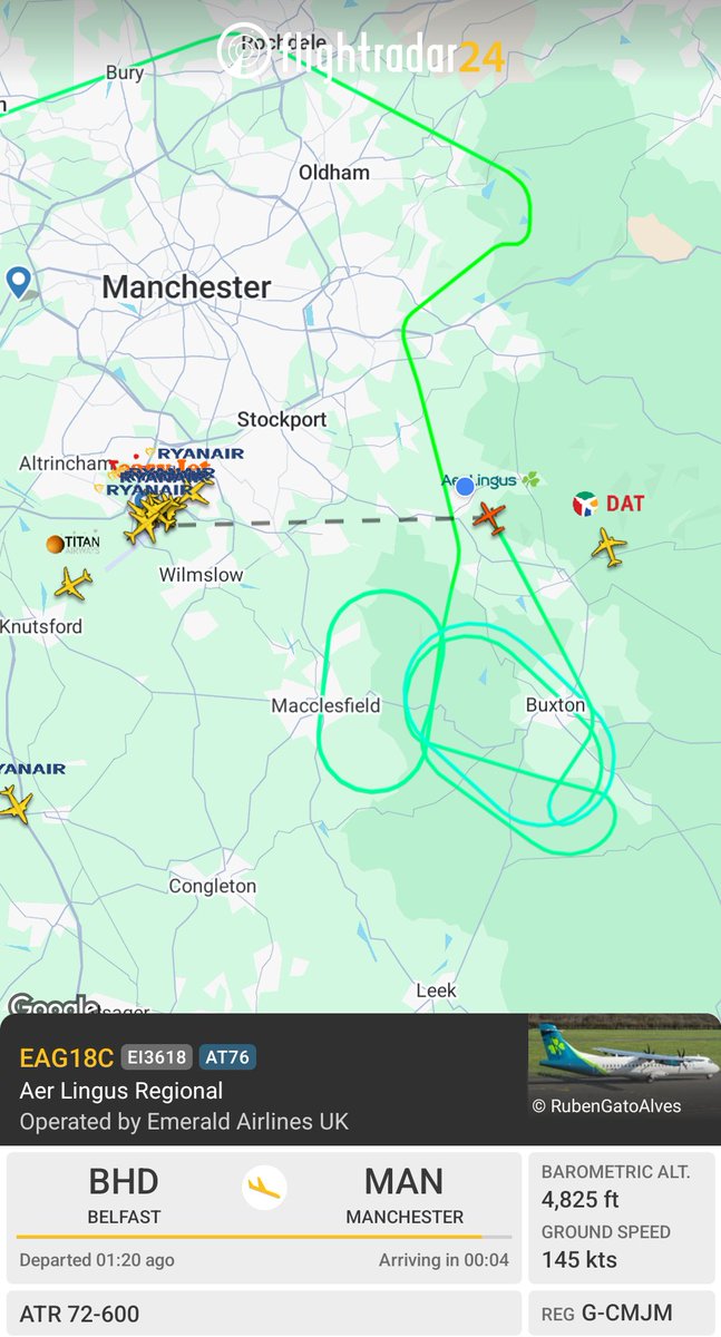 MrPiddly tweet media