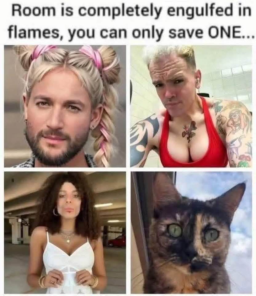 Just Posting Ls tweet media