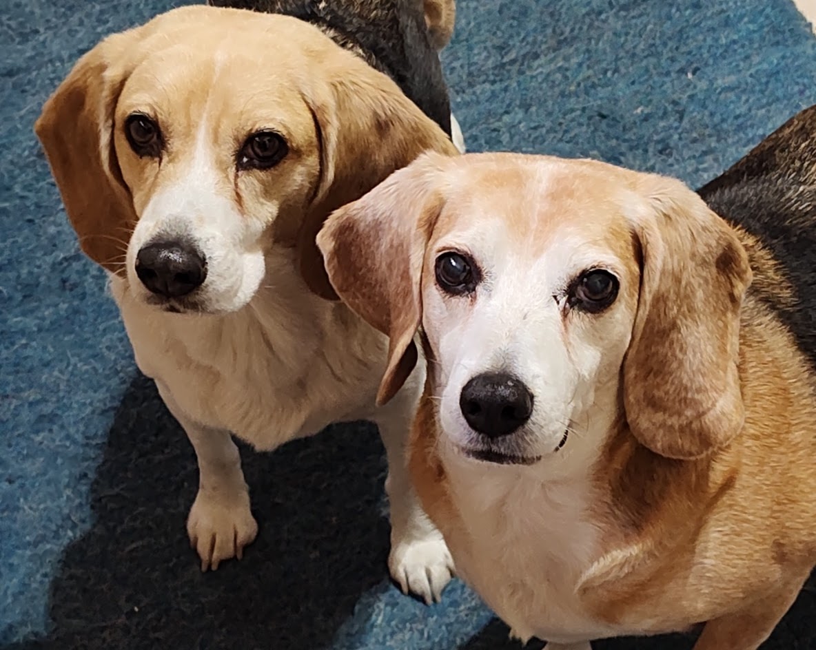 Ferguson y Jasper tweet media