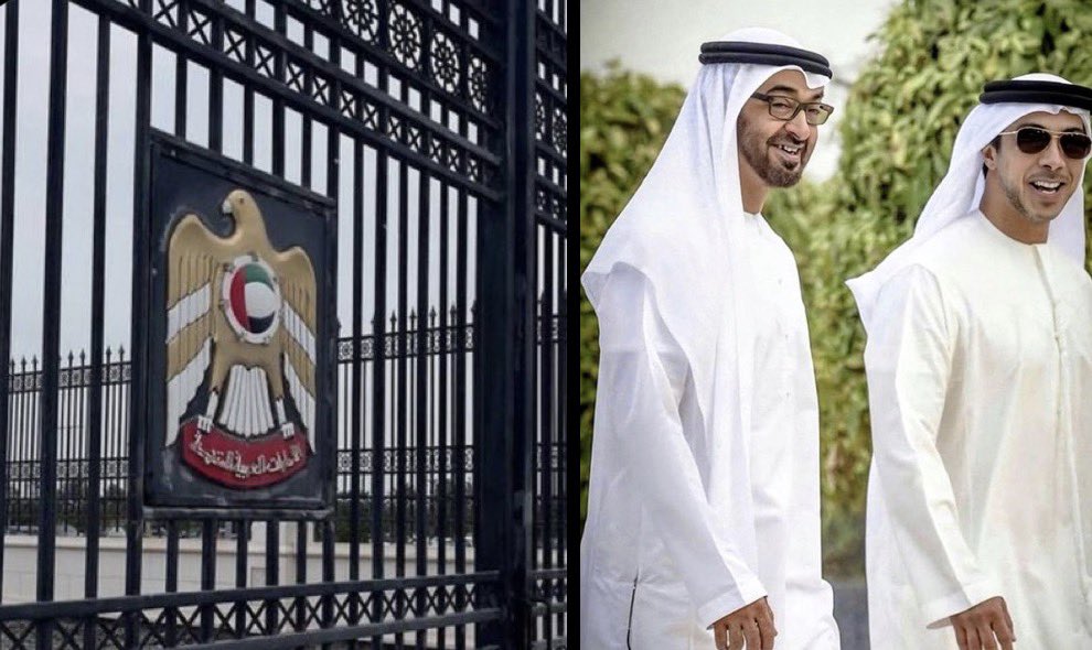 𝐵𝑜 𝑆𝑎𝑒𝑒𝑑 𓅃 tweet media