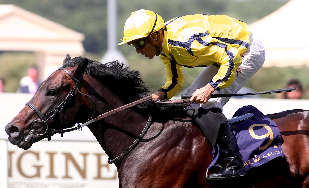 Weatherbys Limited tweet media