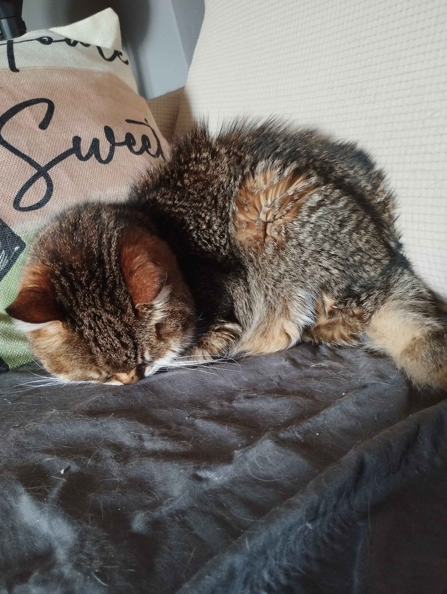 Kei, at your service! 🏰 tweet media