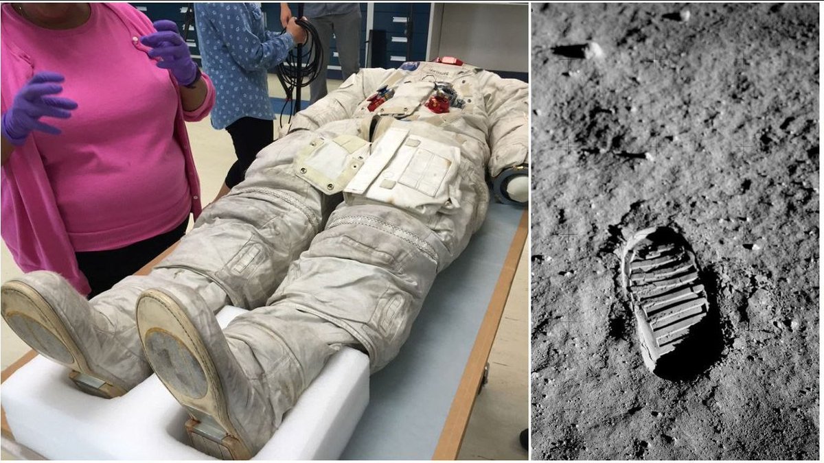 Stary.wilk tweet media