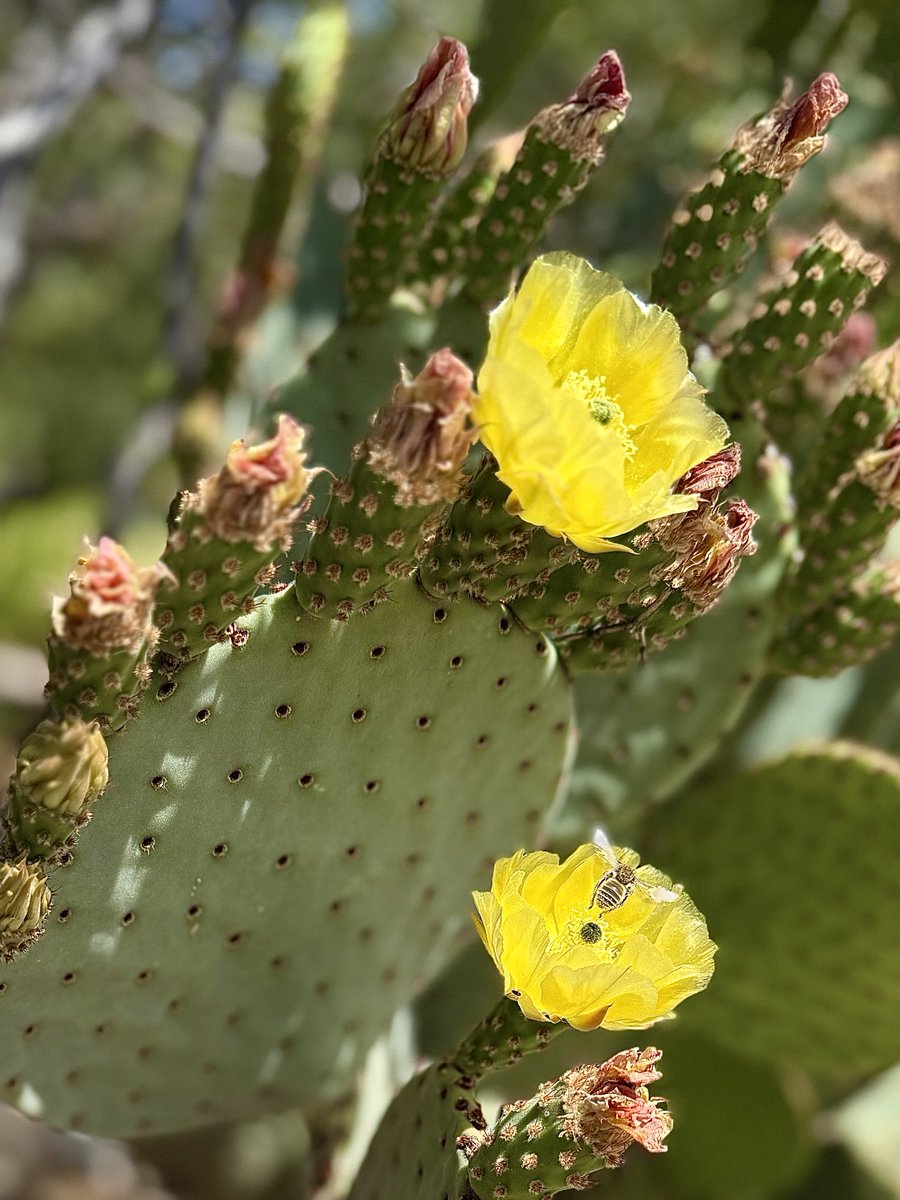 🌺 Jennifer 🌺 tweet media