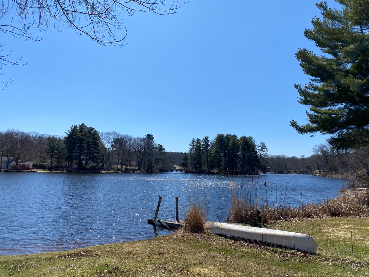 Nina Tomlinson tweet media