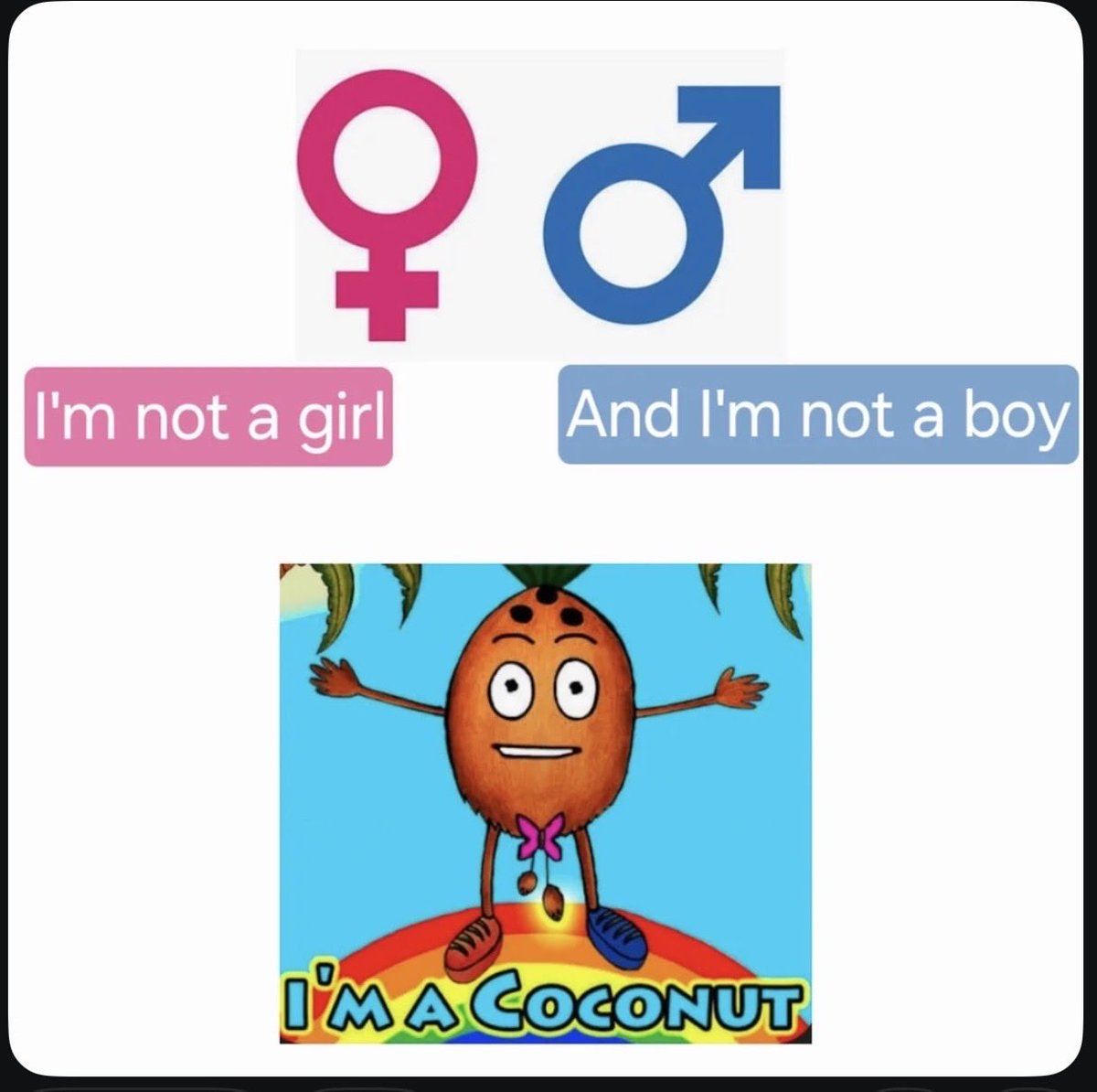 Lowkey this is how I be explaining my identity to people😭anyone else??