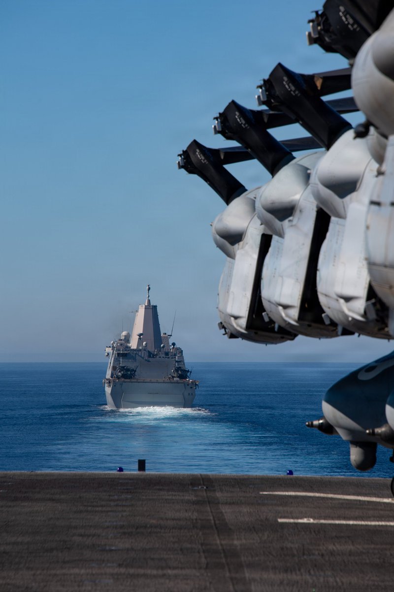 Niaz Shafiei tweet media