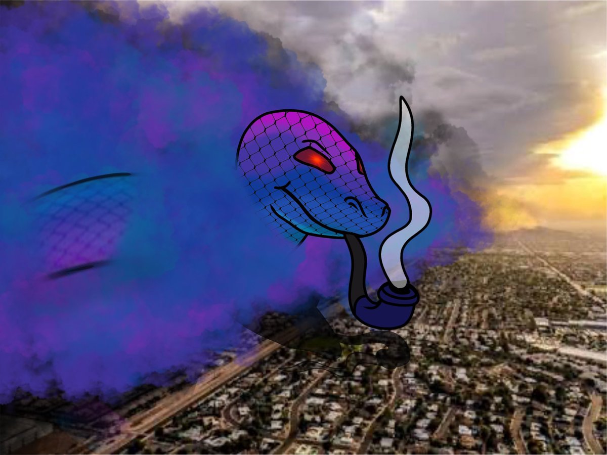 Tower.Andres 🇦🇷🐍 tweet media