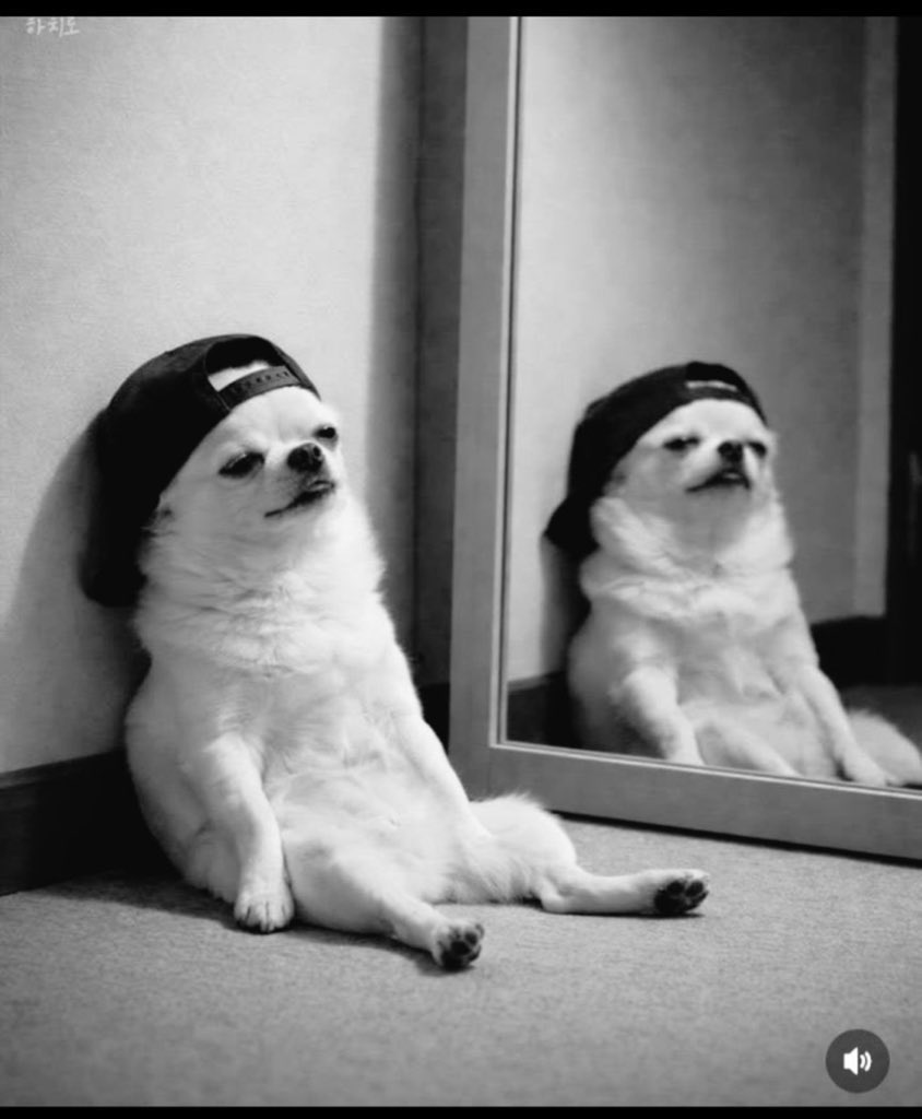 Dat boi viqtor tweet media