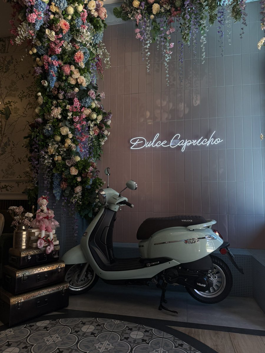 𝖺𝗇𝗇𝖺 🍸 tweet media