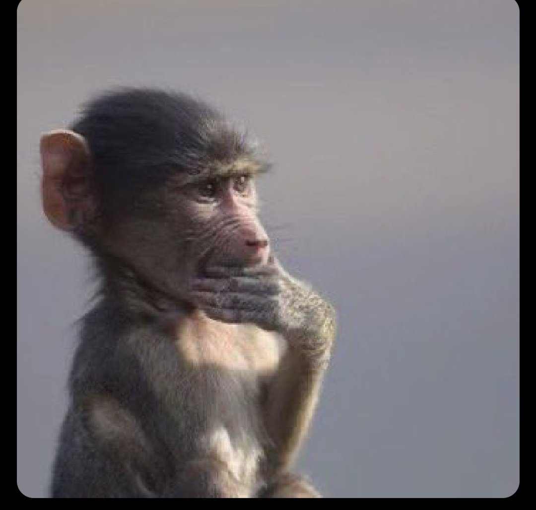 𝔇𝔢𝔪𝔢𝔱𝔯𝔦 tweet media