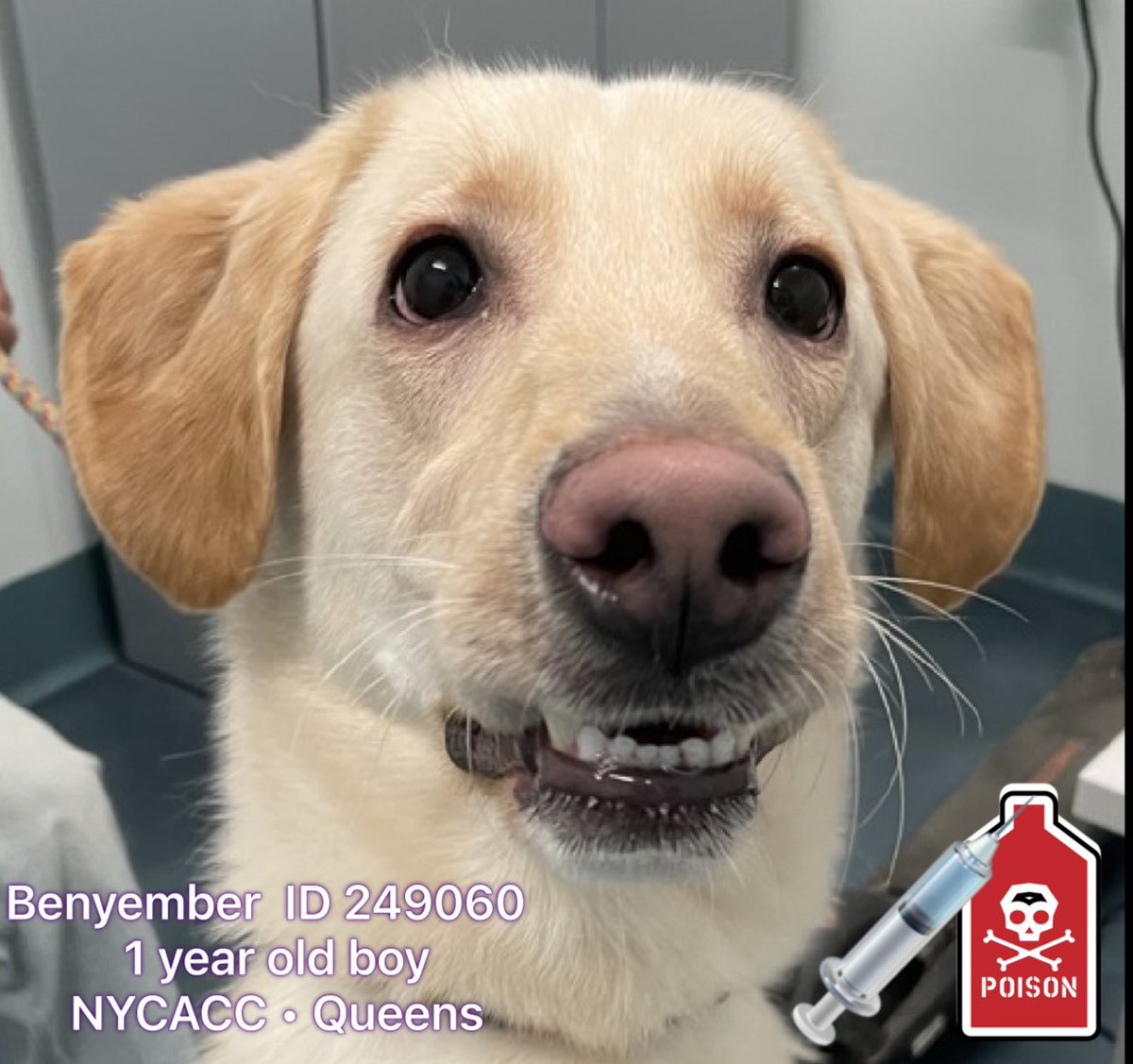 Malimum 🇩🇪 tweet media