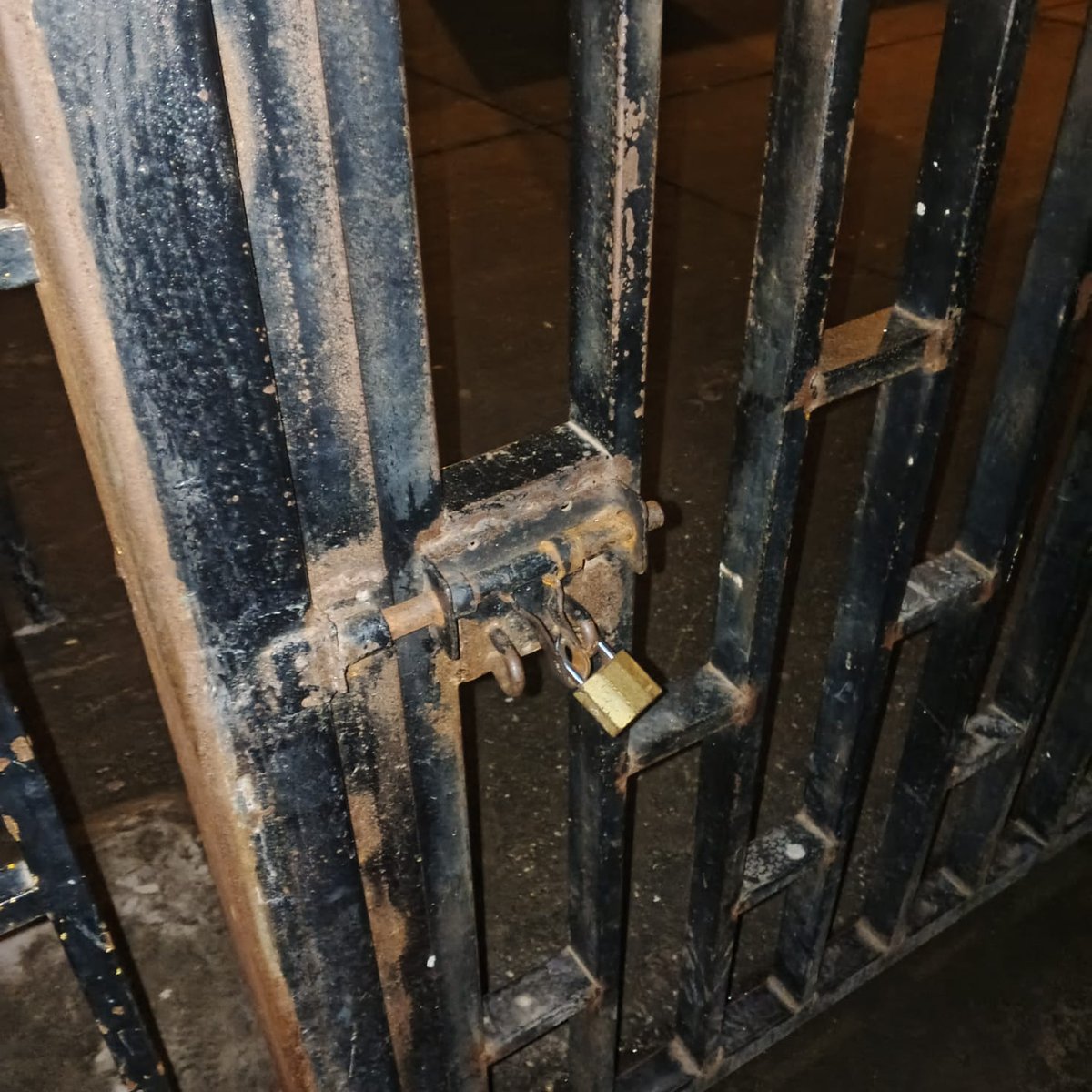 Oro y Grana Bsc tweet media