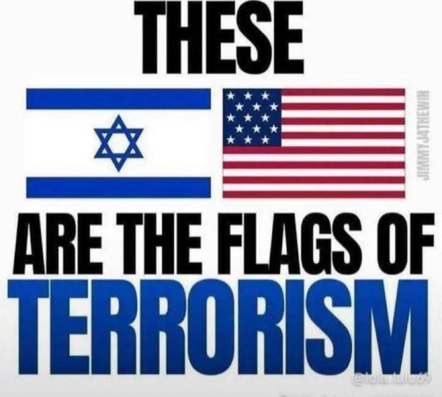 Joshua S Lake tweet media