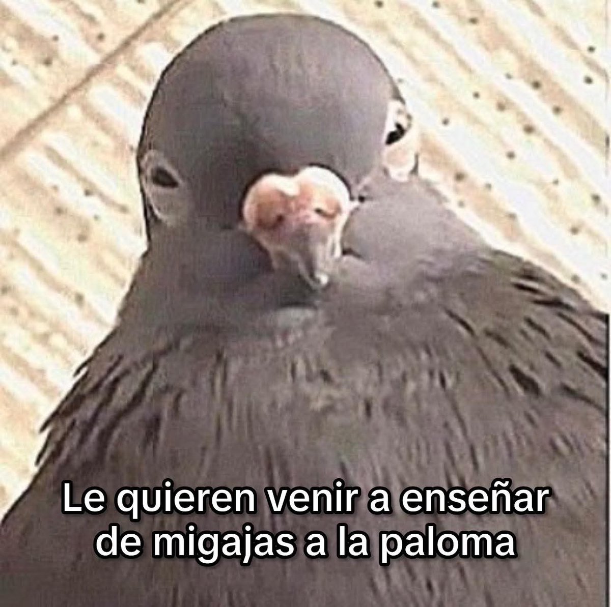 En Júpiter tweet media