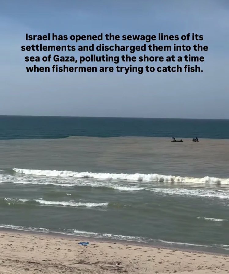 Brunella C. tweet media