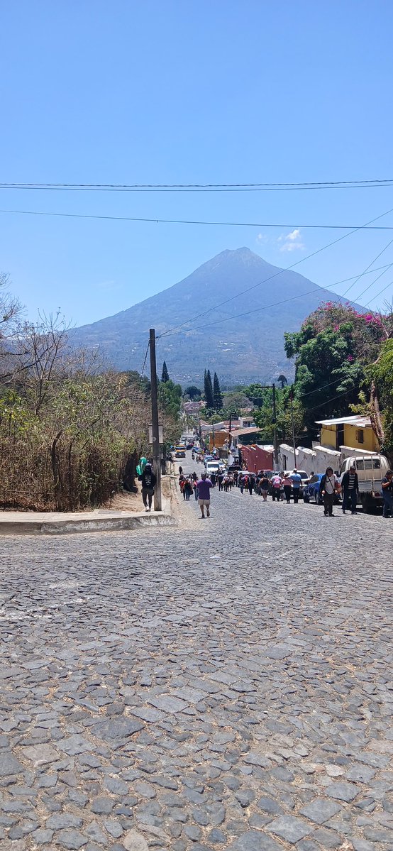 DonJorge tweet media