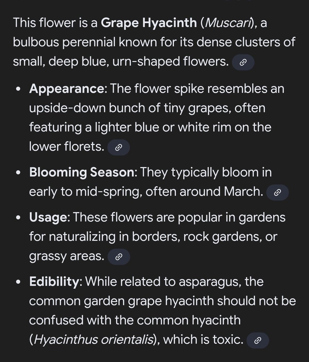 Stupid Sexy Flanders tweet media