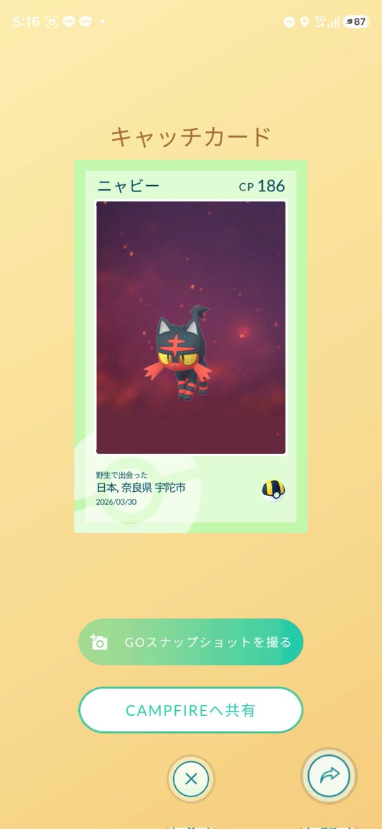 yositada99 tweet media